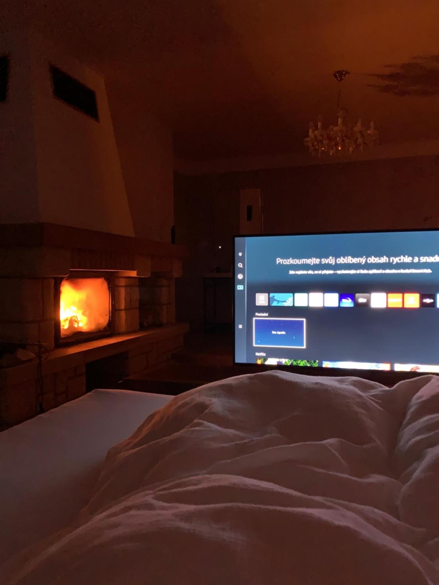 Dogs Resort And Spa Horni Bezdekov Экстерьер фото