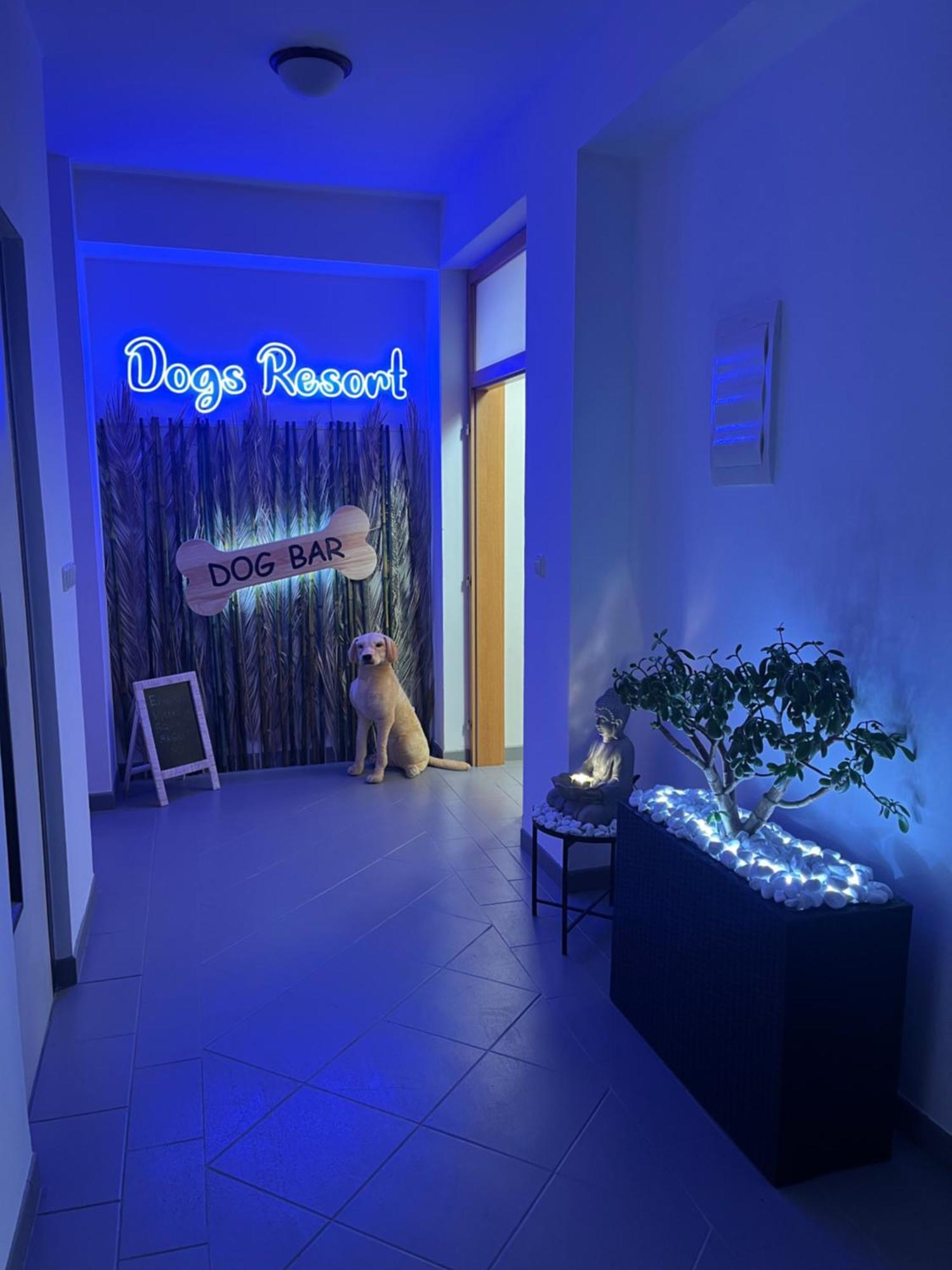 Dogs Resort And Spa Horni Bezdekov Экстерьер фото